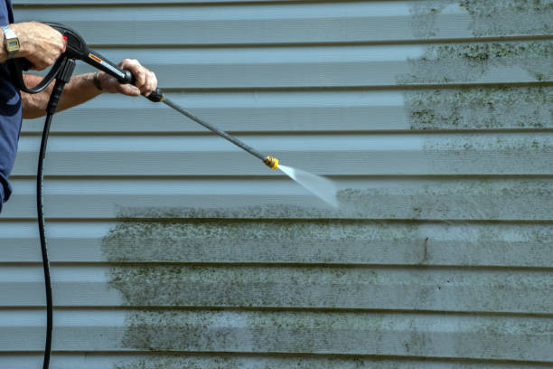 Best Driveway Pressure Washing  in Hollymead, VA